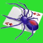 Spider Solitaire أيقونة