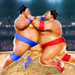 Sumo Wrestling Fight Arena