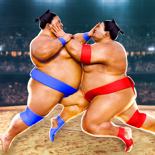 Sumo Wrestling Fight Arena