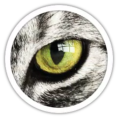 1 Glimpse 1 Word Icon