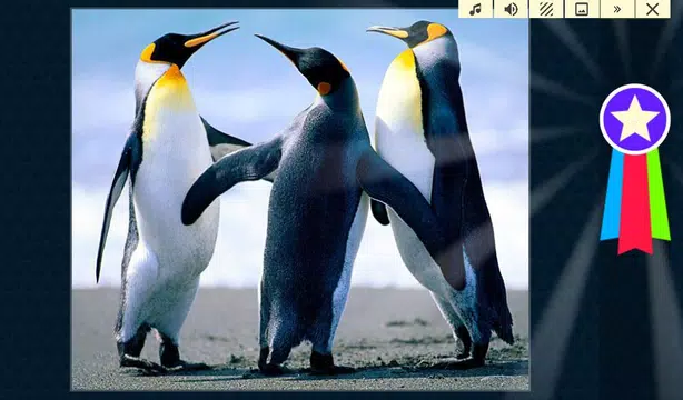 Screenshot 7 for Jigsaw Puzzles Christmas Games