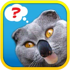 1 Pic Combo: What's the Thing? APK 下載