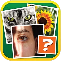 4 Pics 1 Odd APK download