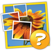1 Pic 1 Word: Tap and Guess! APK