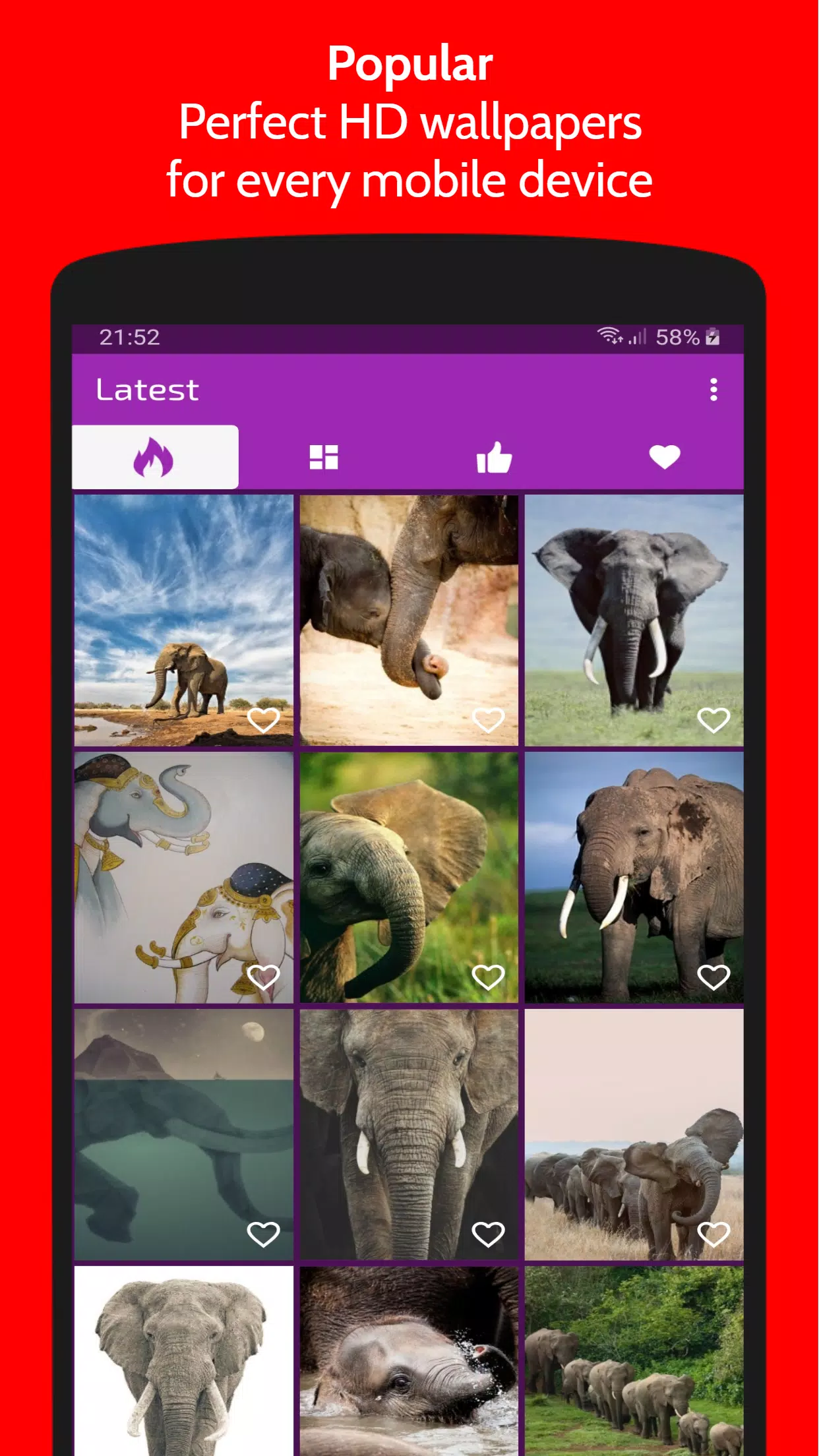 Elephant Wallpaper & Free HD-4K Backgrounds APK for Android Download Elephant Wallpaper & Free HD-4K Backgrounds APK for Android Download