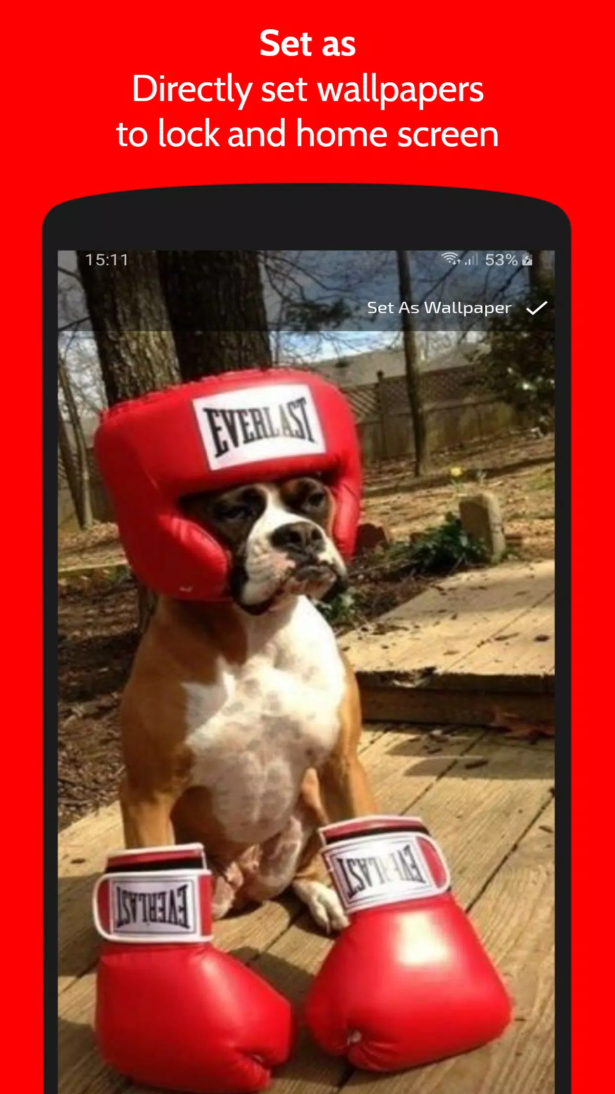 Funny Dog Pictures & Free HD-4K Backgrounds APK for Android Download Funny Dog Pictures & Free HD-4K Backgrounds APK for Android Download