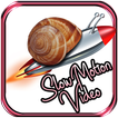 Slow Motion Video [FREE]