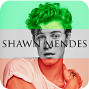 If I Can't Have You Song Lyrics - Shawn Mendes APK