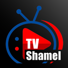 Shamel TV ícone