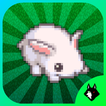 Bunny Run! Lost in the Maze
