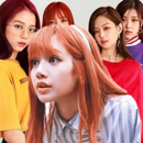 Blackpink Stickers for whatsapp APK