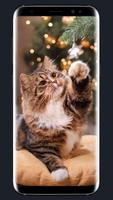 Cute Cat Wallpaper 포스터