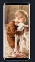 Baby Goat Wallpaper スクリーンショット 3