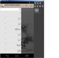 Lane's Arabic Dictionary ポスター