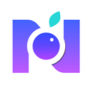 Nutricapture : AI food tracker APK