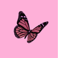 Pink Wallpapers 4K
