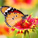 Biology Academy-IGCSE, A Level APK