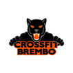 Crossfit Brembo