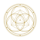 Nikaram Yoga Academy aplikacja