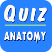 Questions NCLEX Anatomie 2000