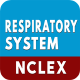 Respiratory System Quiz