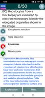 Histology Exam Prep screenshot 2