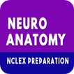 Neuroanatomy Quiz icon