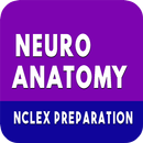 Quiz de neuroanatomie APK