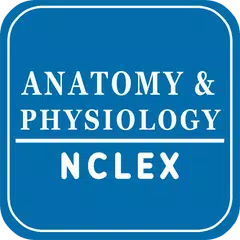 NCLEX 解剖学和生理学