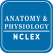 NCLEX Анатомия и физиология