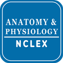 Anatomia e Fisiologia NCLEX APK