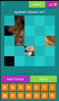 Puzzle Haiwan screenshot 2