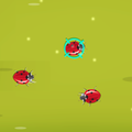 Insects Smashing Fun