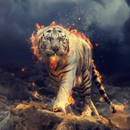 Cool Tiger Backgrounds 4k APK