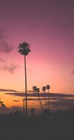 Aesthetic VSCO Wallpapers 4K اسکرین شاٹ 1