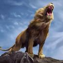 Trendy Lion King Wallpaper APK