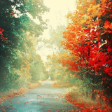Beautiful  Autumn Wallpaper HD