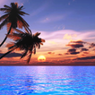 Beach Sunrise Sunset Wallpaper