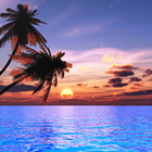 ikon Beach Sunrise Sunset Wallpaper