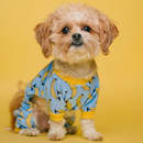 APK Cute dog wallpapers puppy
