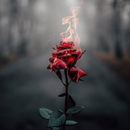 HD/4K flower background-APK