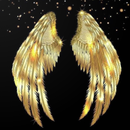 APK Golden Wallpapers hd 4k