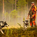 Husky Dogs Wallpapers 4K-APK