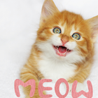 Icona Awesome Kittens Meowing