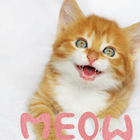 Awesome Kittens Meowing ícone