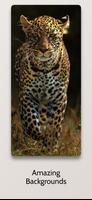 Cheetah Leopard Wallpapers Hd capture d'écran 1