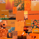 Orange wallpapers hd APK