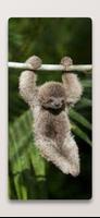 Cute Sloth Wallpaper HD スクリーンショット 2