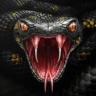 Cool snake wallpaper hd/4k icône