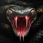 Cool snake wallpaper hd/4k icon